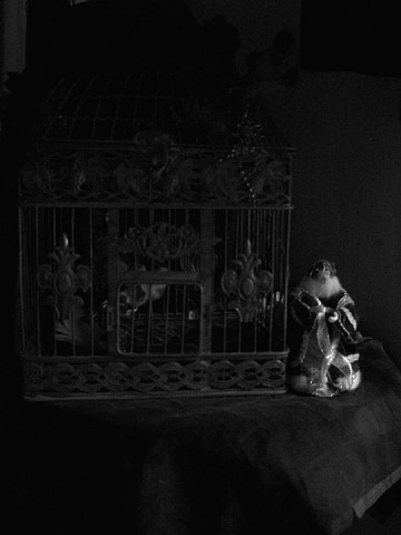 klatka dla ptakow vintage goth gotyk mroczny pokoj